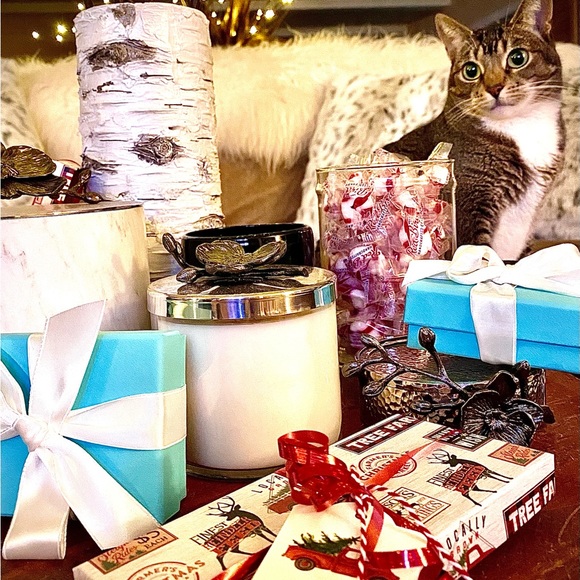 Meet your Posher, - Picture 16 of 16